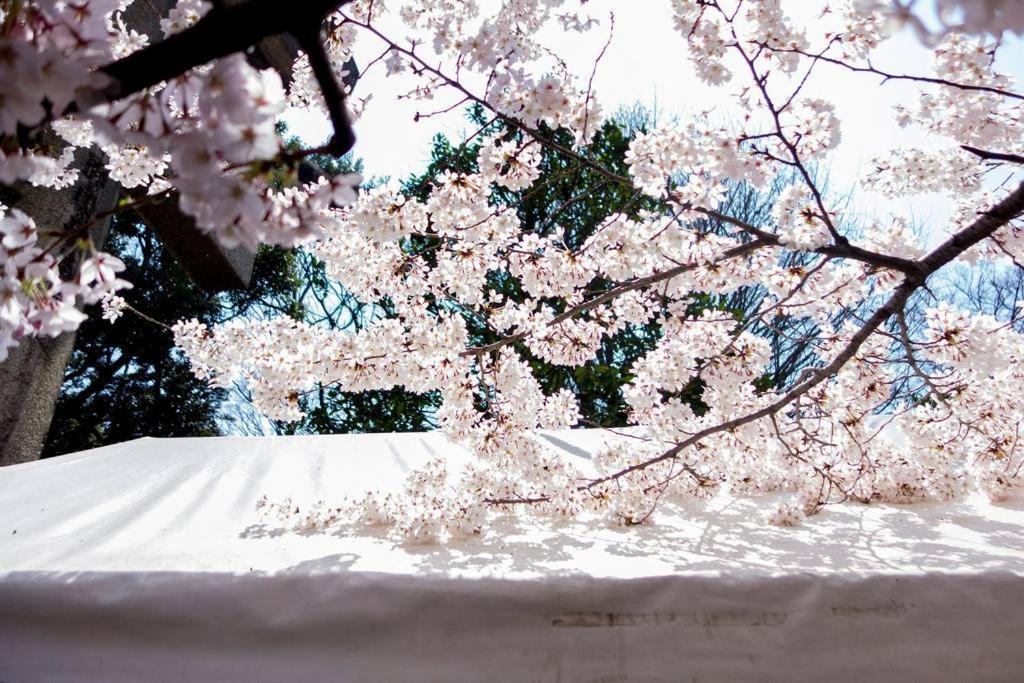 Tora Ueno 寅ホテル 上野 B * Tokyo prefektur
